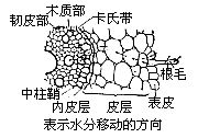 丁香实验推荐阅读