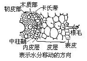 丁香实验推荐阅读