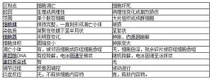 丁香实验推荐阅读