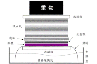 丁香实验推荐阅读