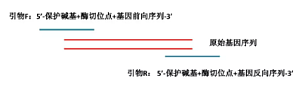 丁香实验推荐阅读