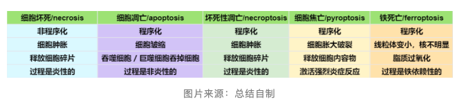 丁香实验推荐阅读