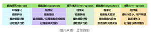 丁香实验推荐阅读