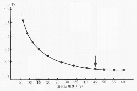 丁香实验推荐阅读