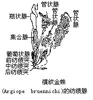 丁香实验推荐阅读