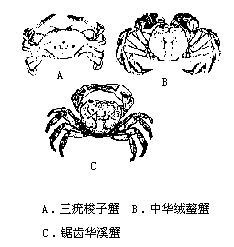 丁香实验推荐阅读