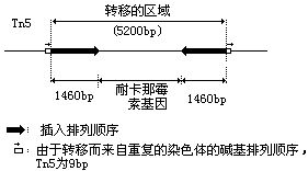 丁香实验推荐阅读