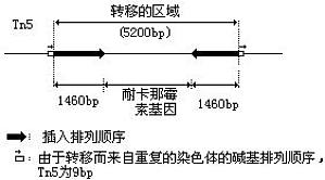 丁香实验推荐阅读