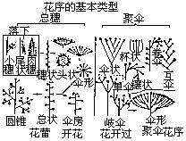 丁香实验推荐阅读