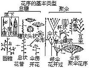 丁香实验推荐阅读