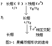 丁香实验推荐阅读