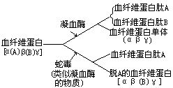 丁香实验推荐阅读
