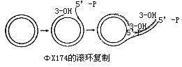 丁香实验推荐阅读