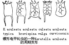 丁香实验推荐阅读