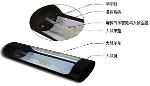 丁香实验推荐阅读