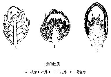 丁香实验推荐阅读