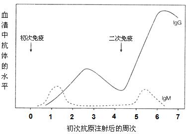 丁香实验推荐阅读