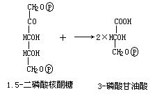 丁香实验推荐阅读