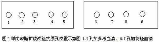 丁香实验推荐阅读