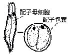 丁香实验推荐阅读