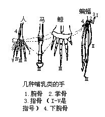 丁香实验推荐阅读