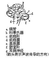 丁香实验推荐阅读