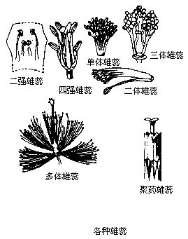 丁香实验推荐阅读