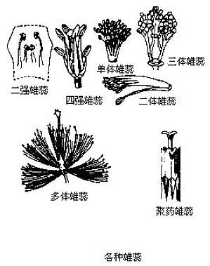 丁香实验推荐阅读