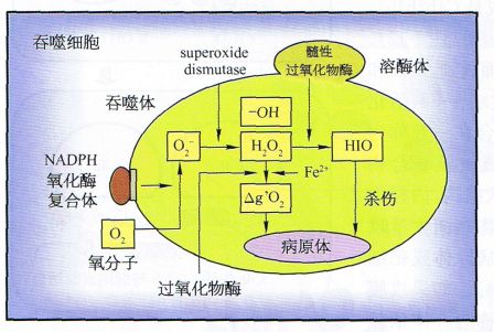 丁香实验推荐阅读