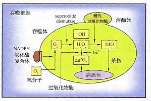 丁香实验推荐阅读
