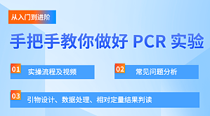 丁香实验推荐阅读
