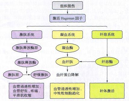 丁香实验推荐阅读