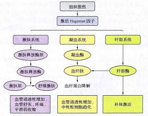 丁香实验推荐阅读