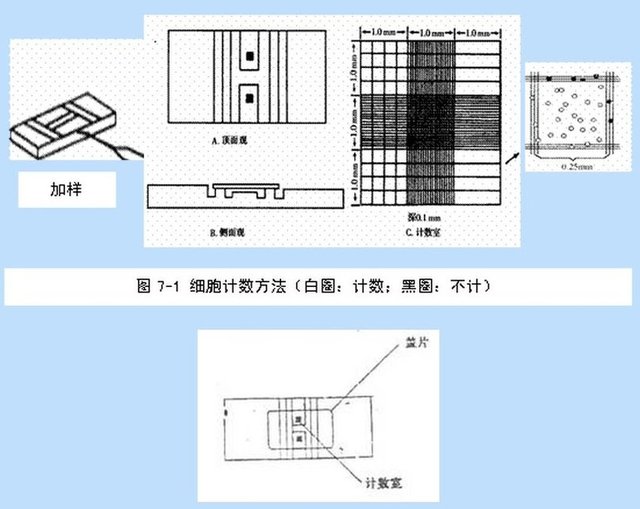 丁香实验推荐阅读