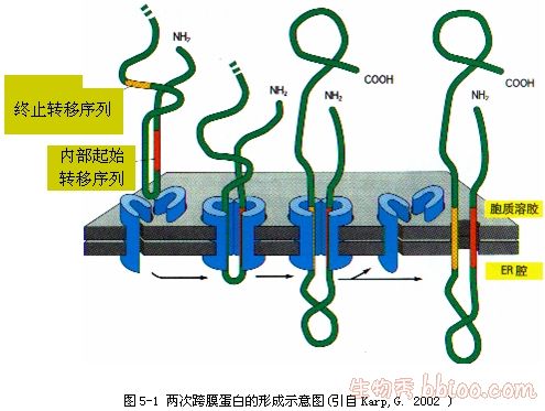 丁香实验推荐阅读