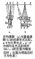 丁香实验推荐阅读