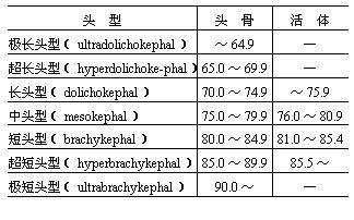 丁香实验推荐阅读