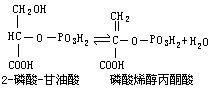 丁香实验推荐阅读