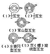 丁香实验推荐阅读