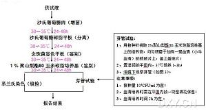 丁香实验推荐阅读