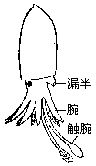 丁香实验推荐阅读