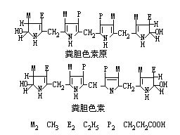 丁香实验推荐阅读