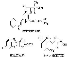 丁香实验推荐阅读