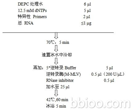 丁香实验推荐阅读