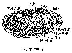 丁香实验推荐阅读