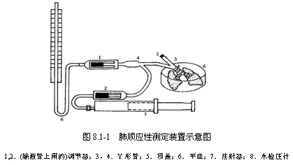 丁香实验推荐阅读