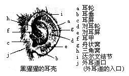 丁香实验推荐阅读