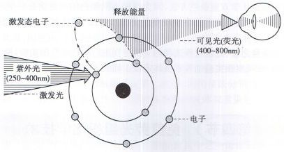 丁香实验推荐阅读