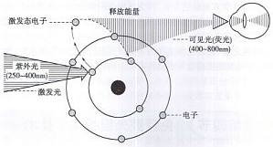 丁香实验推荐阅读