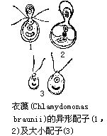 丁香实验推荐阅读